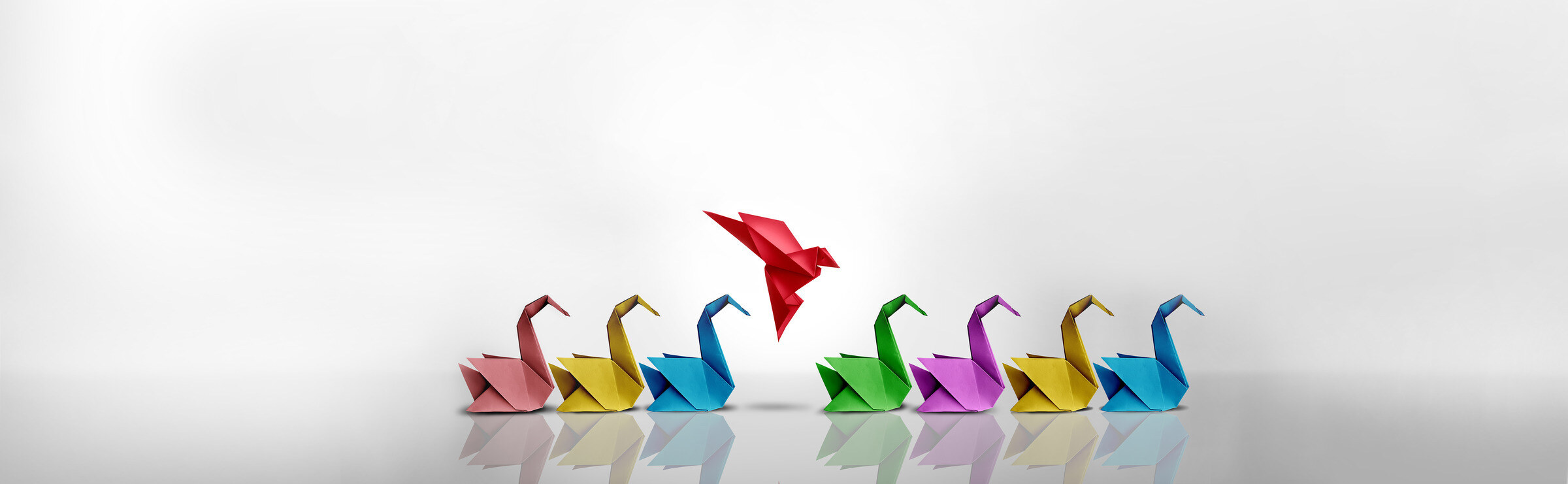 Swans-1414912264-1-1 Swans-1414912264-1-1